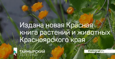 Краснокнижные растения и животные Якутии — Улус Медиа