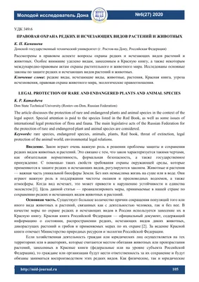 Как правильно выбрать растения домой, если есть животные? - эксперты  Украфлоры