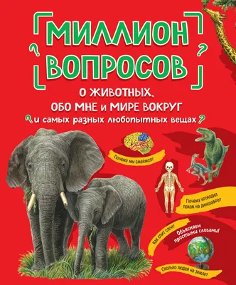 💛Зоопарк в Гуанчжоу🐼🐯🦁🦍 Так много разных животных, но особенно умилила  панда😍😍🥹 А еще я попробовала традиционную китайскую сосиску на… |  Instagram