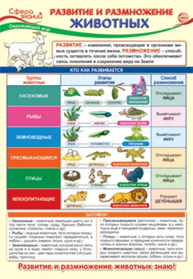 Продам лотом фигурки разных животных: 100 грн. - Фигурки животных Киев на  Olx