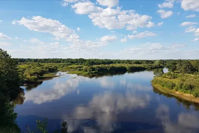 Молога (река) — Википедия