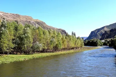 Великие реки России: Десна-красавица - ВОДА РОССИИ