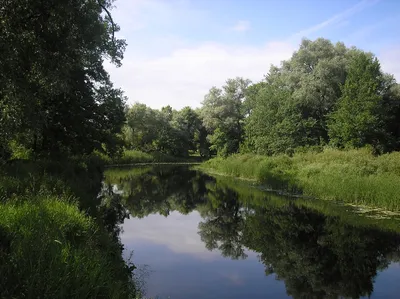 Река Волга: ее исток, длина, притоки и крупные города» — создано в Шедевруме
