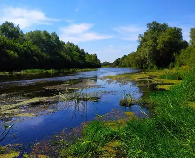 Великие реки России: по камням струится Терек - ВОДА РОССИИ