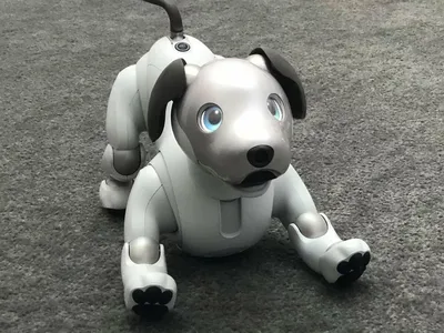 Xiaomi представила робопса CyberDog 2. Он действительно похож на небольшую  собаку - Лайфхакер