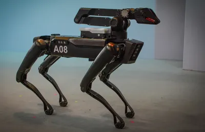 Видео: робопсы Boston Dynamics попытались нарядить елку | Innovations.ru -  инновации и инвестиции