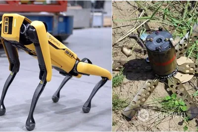 Новости — Робопса Boston Dynamics перевезли в снежную Россию