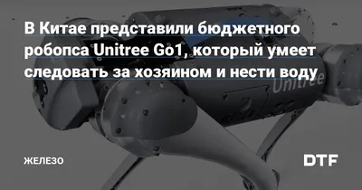 Китайцы научили робопса Unitree Go 2 делать сальто