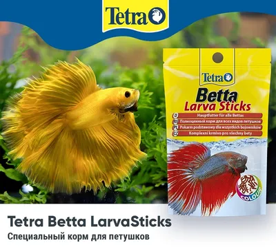 Tetra Betta LarvaSticks корм для петушков и других лабиринтовых рыб в  Санкт-Петербурге