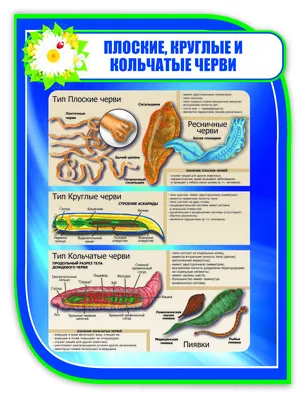 mamavtrende - Принимаю заказы на 1 сентября!!! Штучные пряники: 🍁школьники  150р/шт 🍁круглые и веселые карандаши по 120р/шт При заказе на класс скидка  от 20шт - 10%, от 30шт - 20%. Заказы принимаю