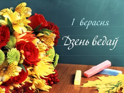 Воздушный шар гелиевый большой на 1 сентября Back to school купить в Москве  с доставкой | Малина Пати