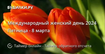 Прекрасный сад — Цветы на 8 марта