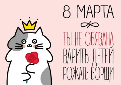 Коты поздравляют с 8 марта | Пикабу