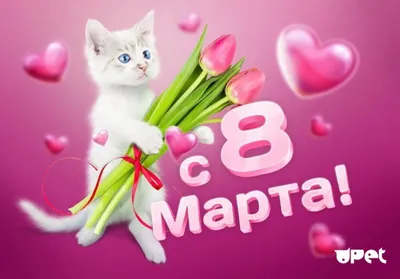 Коты поздравляют с 8 марта! - ЯПлакалъ