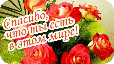 Спасибо, что ты есть в этом мире! ❤️ Близкой подруге посвящается...❤️  Замечательные слова!!!❤️ - YouTube