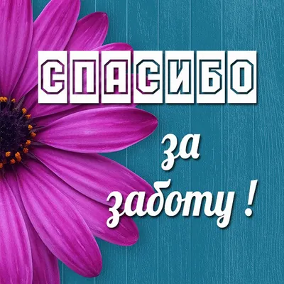 В благодарность» карантину 🙄 Отмечайте загадочных подруг в комментариях 😁  #pilateslifebaku… | Instagram