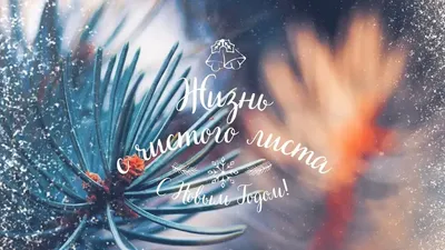 С чистого листа, 2008 — смотреть фильм онлайн в хорошем качестве на русском  — Кинопоиск