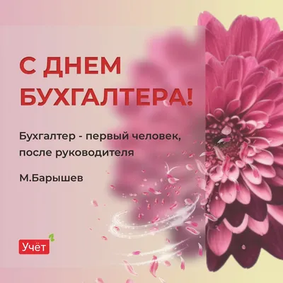 День работников Бухгалтеров 21 ноября 2023 года (85 открыток и картинок, 12  гифки)