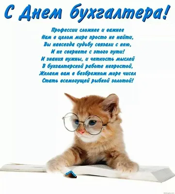 С Днем бухгалтера: поздравления в прозе и стихами от души и с юмором