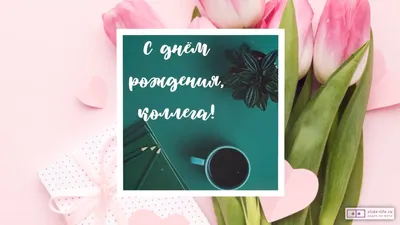 День рождения Мельниковой Олеси Игоревны! — Управление физической культуры  и спорта Администрации города Тулы