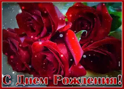 С Днём Рождения Начальница!!!#длявас #днюшка #рекомендациипожалуйста #... |  TikTok