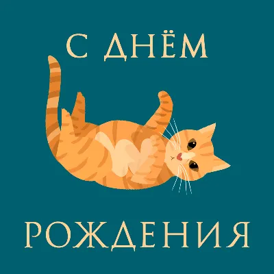 И снова Наташа и коты: новые авторские мемы | Литературный разбор | Дзен