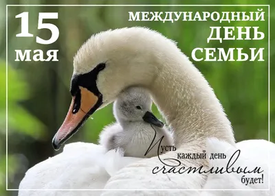 15 мая Международный день семьи - YouTube