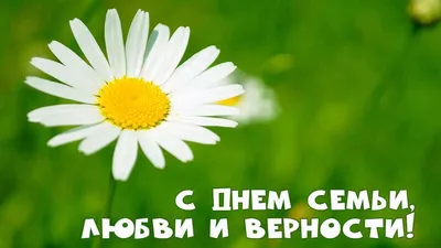 Поздравляем с Днем семьи, любви и верности! | Ассоциация \"Совет  муниципальных образований Тульской области\"