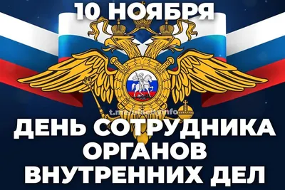 С Днем сотрудников органов внутренних дел! - Муниципальные новости -  Новости, объявления, события - Городской округ Заринск