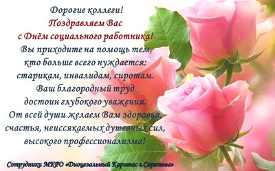 Поздравление акима Аккольского района Алпысбая Каиржанова с Днем работников  системы социальной защиты