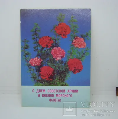 Нина Останина: «С Днём Советской Армии и Военно-Морского Флота» — КПРФ  Москва