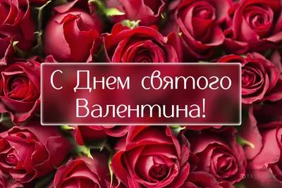 С Днем святого Валентина нежные поздравления любимым – открытки,  валентинки, смс, картинки – видео | OBOZ.UA