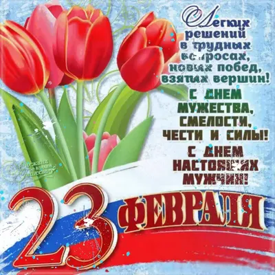 С Днем защитника Отечества. 23 февраля. | Зайка-Незнайка