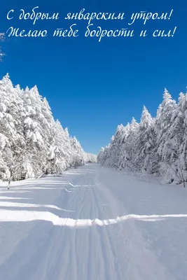 Картинки с Добрым Январским утром (110 шт.)