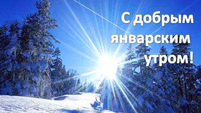 С Добрым Январским Утром! 3 января. #январь2024 #видеопожеланиесдобрым... |  TikTok