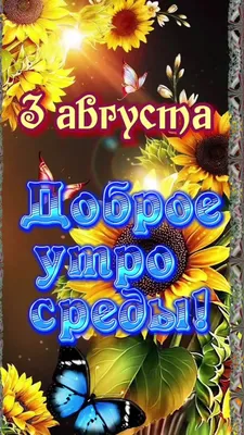 Картинка - Доброе утро августа!.