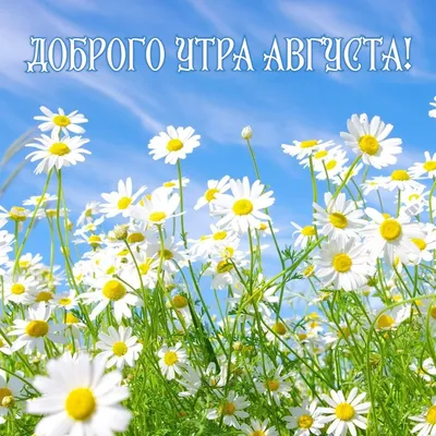 С добрым утром!: erofotos — LiveJournal