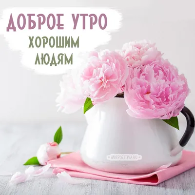 Хорошему Человеку Доброго утра😘🌷 Красивое Видео пожелание - YouTube