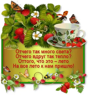 Пин от пользователя Светлана на доске С добрым утром | Привет, август, Лето,  Доброе утро