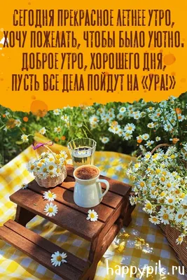 С добрым утром!🤗🌷☀️ | Доброе утро, Утренние сообщения, Лето