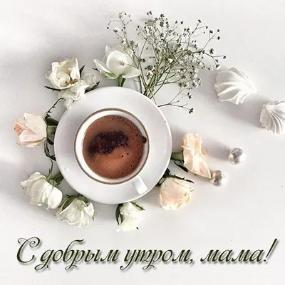 Доброеутромама❤❤❤ | TikTok