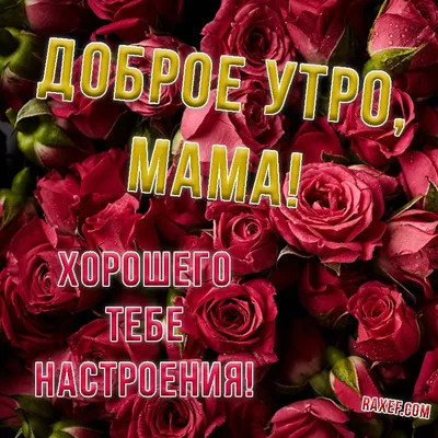 Красивое пожелание Хорошего дня маме❤️ - YouTube