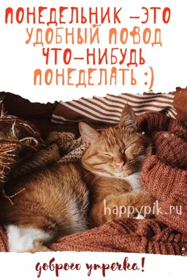 🌺☕️Ух, ты, опять понедельник! Доброе утро понедельника! Удачной недели!  Утренний позитив для друзей! - YouTube