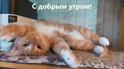 Светлана (@sotnik507)'s videos with Let's Twist Again - Chubby Checker |  TikTok