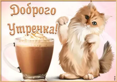 Открытка \"С добрым утром\" с вислоухим котиком и кружкой кофе • Аудио от  Путина, голосовые, музыкальные