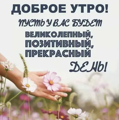 Статусы со смыслом - С Добрым утром 🤗😇 | Facebook