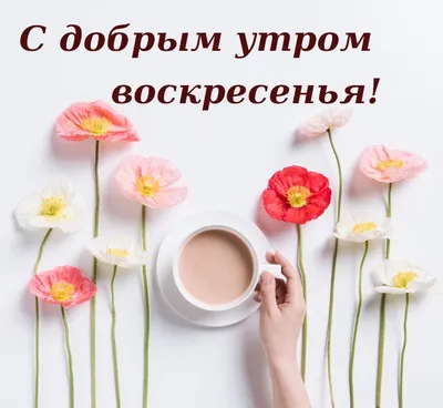 Открытка с воскресеньем, хорошего отдыха - GreetCard.ru