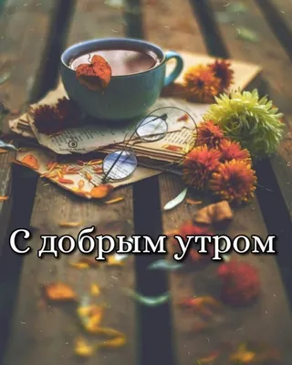 Нежные картинки с добрым утром. ❤️ Красивые картинки женщине. | Доброе утро,  Счастливые картинки, Благодарные цитаты