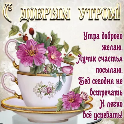 С добрым утром!#видеооткрытка #открыткасдобрымутром#открытка #рекоменд... |  TikTok