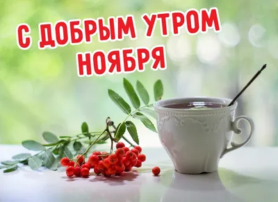 Картинки с добрым утром с пожеланиями. 😊 (125 шт.) | Доброе утро, Смешные  поздравительные открытки, Винтажные чаепития